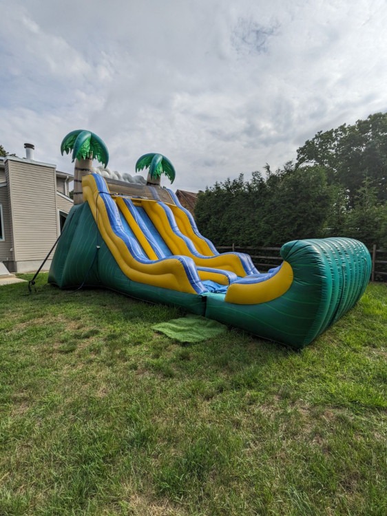 17' Tropical Dual Lane (Dry Slide)
